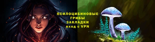 хмурый Абинск