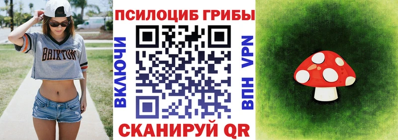 цены   Кинешма  Псилоцибиновые грибы MAGIC MUSHROOMS 